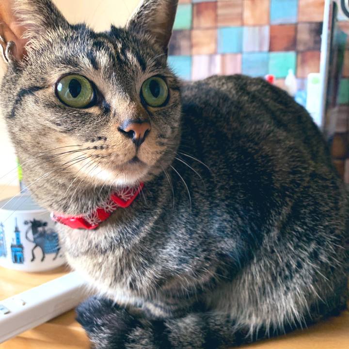 Fa0bbb5f c5fb 462f bfce a66cb509dcbc 1556623330568