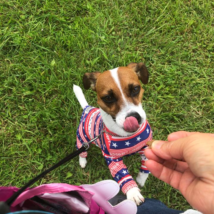 Fa0be01d 834b 4ae6 bef4 a006f5810563 1568112455762