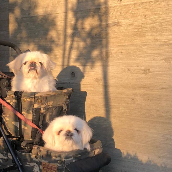 Fa0c13b6 dcc0 468d bbf8 d9573a115152 1587678298899