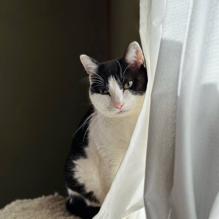 Fa0c1df1 1f00 4cfe b82b af66e323d7e6 1672186719927