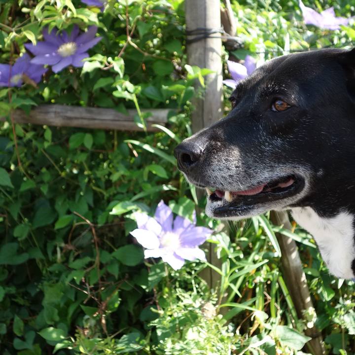 Fa0c3a40 e38a 4dc1 8799 76a4b0fb71a0 1714266526068