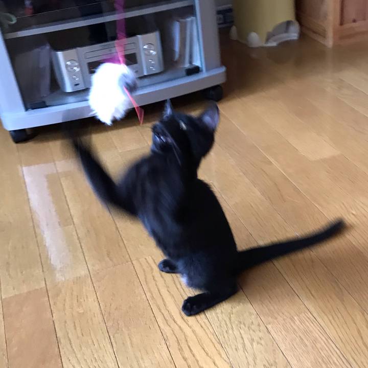 Fa0caa4b 1cea 46d6 b4ff 626417100cdb 1568522516867