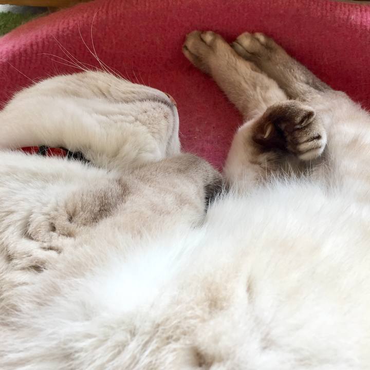 Fa0cba55 c28d 4596 bdd7 f351b8ce3624 1563342681346