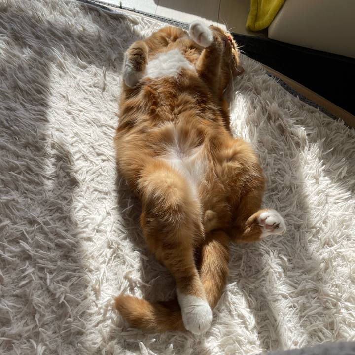 Fa0cbeba 27f3 4cb2 9c5c 337d5d6be3f9 1674957800778