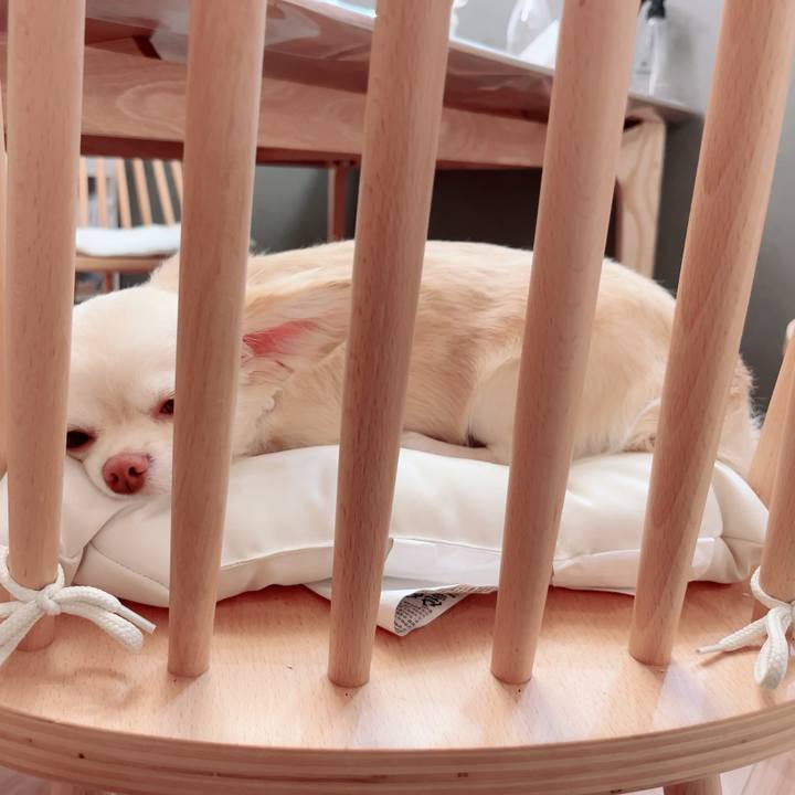 Fa0cdd3f 885b 4c7a 8d72 cd4a3d705eee 1688214700509