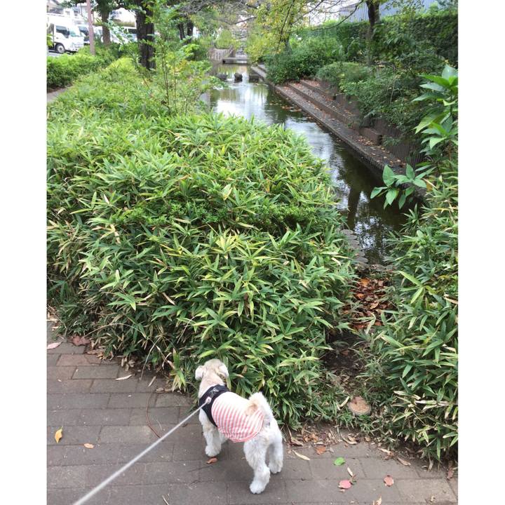 Fa0cef38 613b 4364 8e89 7727231f0c5b 1539415971787