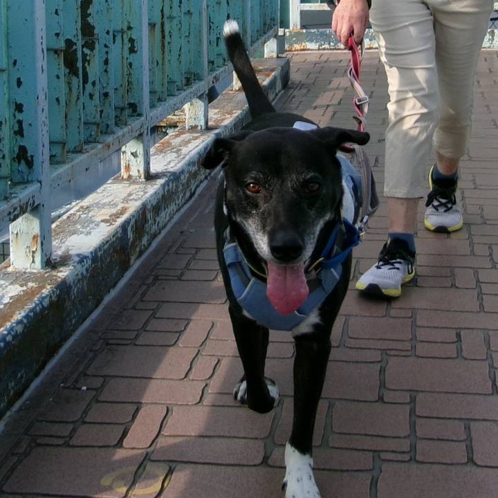 Fa0d2f7c 13b2 4d13 8dd8 e4ca0bd043d7 1754526426383