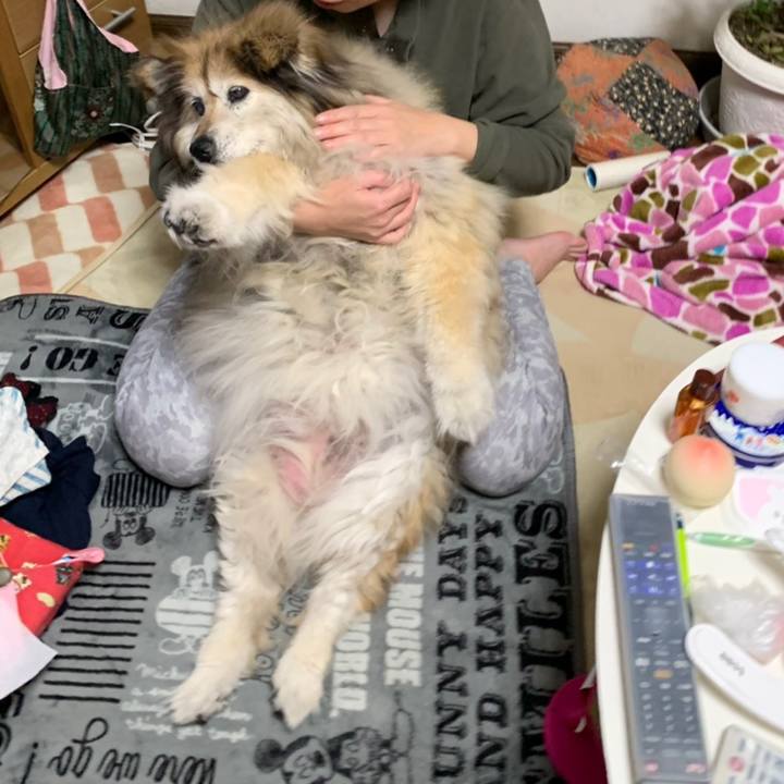 Fa0d3f10 2ade 444b bd7a b1f22ff756cd 1562034797436