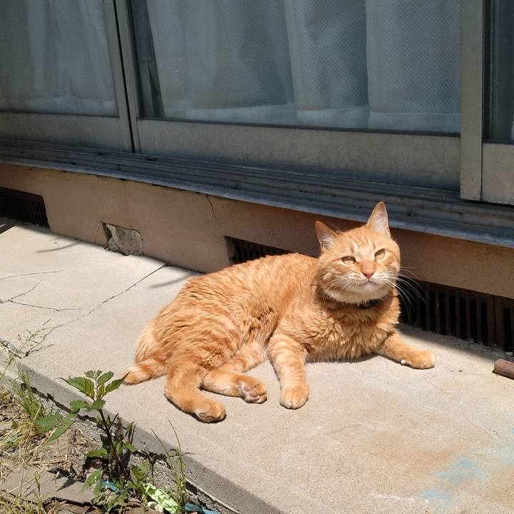 Fa0d41f0 dcf8 41b1 b0a3 68da95f28920 1686013823504