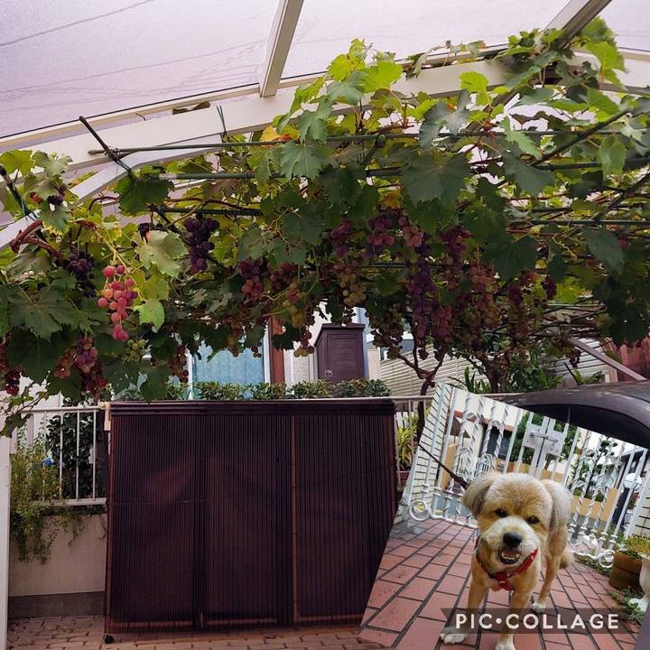 Fa0d50c3 7f00 410e b37c 3b419944147f 1628632518929