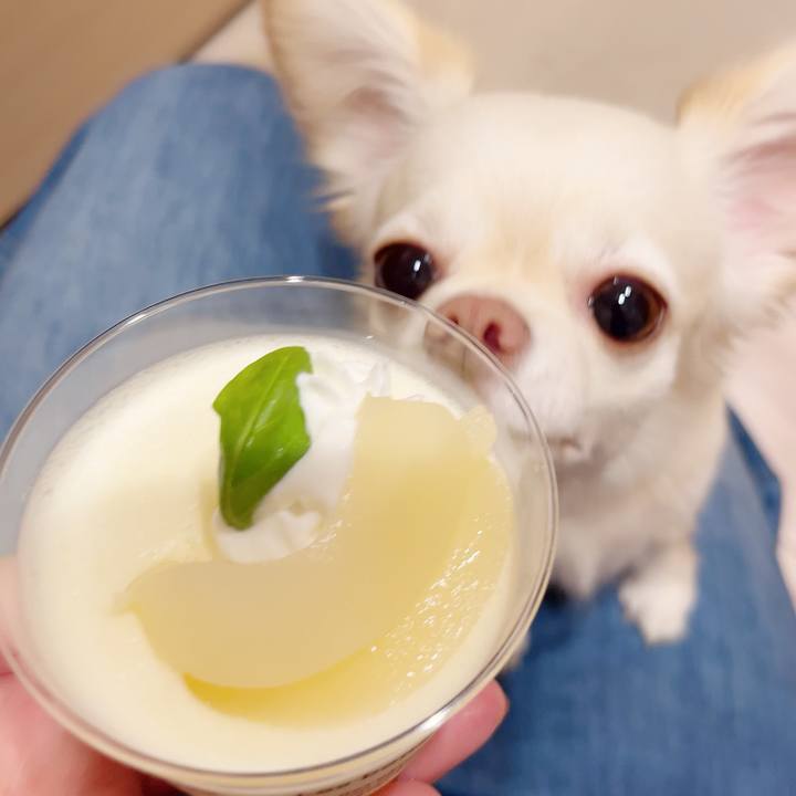 Fa0d543a b01a 4371 b0c4 c51955f58e0e 1689598508856