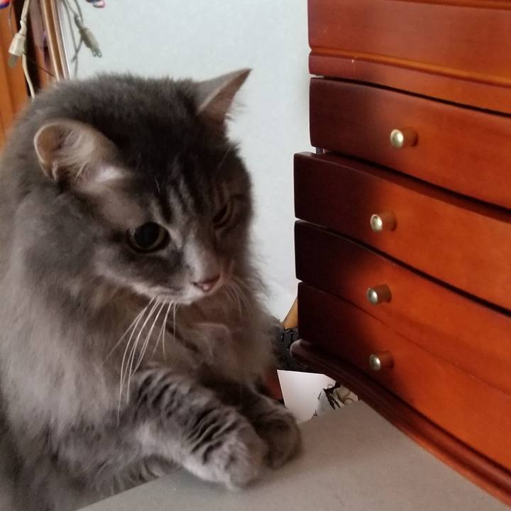 Fa0d5786 5cbb 4a21 b3e6 dd8a85ca1f1b 1543727678348