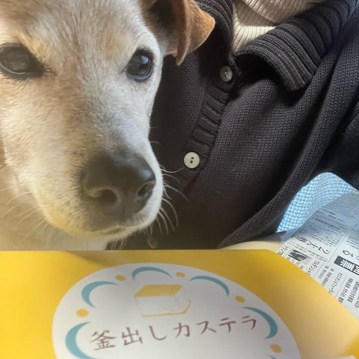 Fa0d57a8 81d4 4a71 85ba 5e5ebf496515 1769212674775