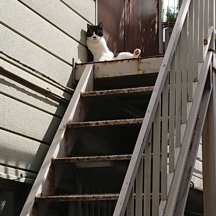 Fa0d88b4 60ee 4c39 9790 313ace029f59 1695517250519