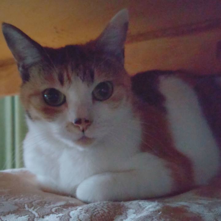 Fa0d89fb 2c82 47c3 a02b 8ad437d31f46 1640927087499