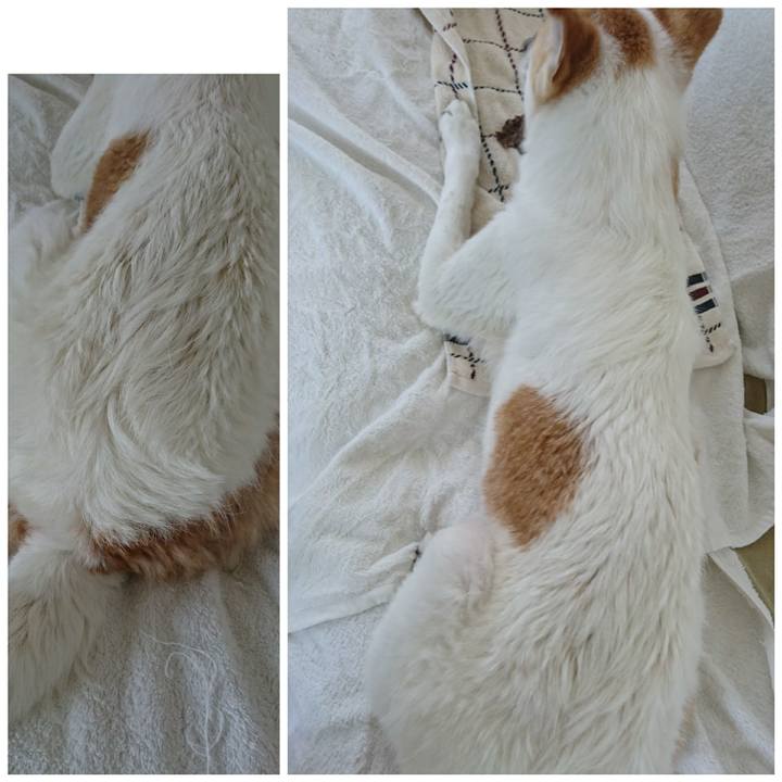 Fa0da3d6 e29e 4013 b9fc d131b7d184cd 1518516167751