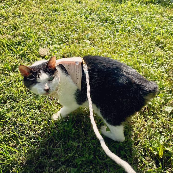 Fa0db381 4118 4ad3 9672 2e25acaf9969 1601599740682