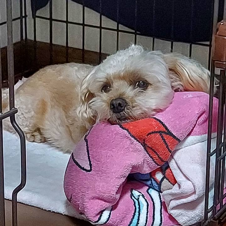 Fa0dbe11 ec0e 441e b425 f91494ce9582 1665658655544