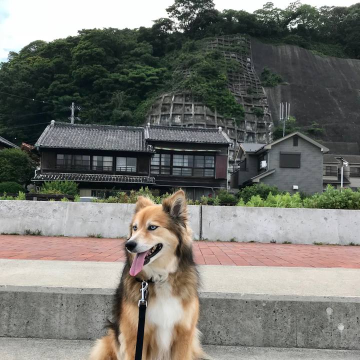 Fa0dc944 27da 49b7 8270 c9579fef2a20 1526540266379