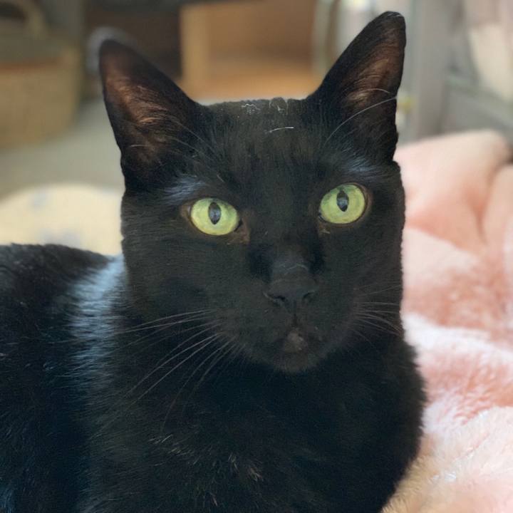 Fa0dd8ea 2759 45b7 a441 eb0169fd23f5 1557623704989