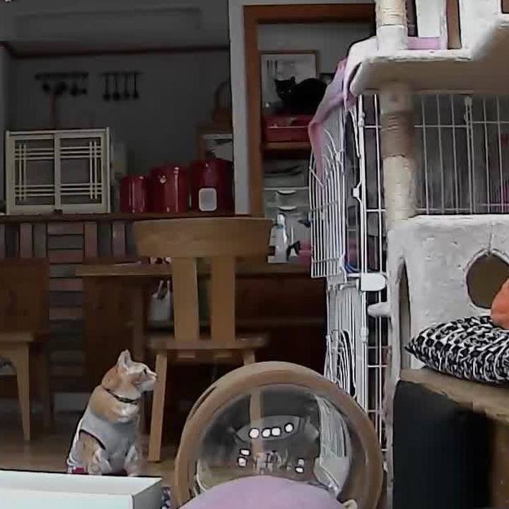 Fa0dd9f0 8680 41c7 b285 8ace869708f4 1600425111164