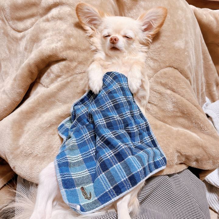 Fa0e6214 abfa 442e 97ec 5149e2266732 1673992009383