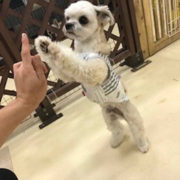 Fa0e990e ef4f 4984 9ff7 d84b62039885 1560853467220