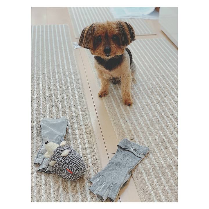 Fa0ed628 19e2 41e7 a57f e4fa339ca61b 1586313785967