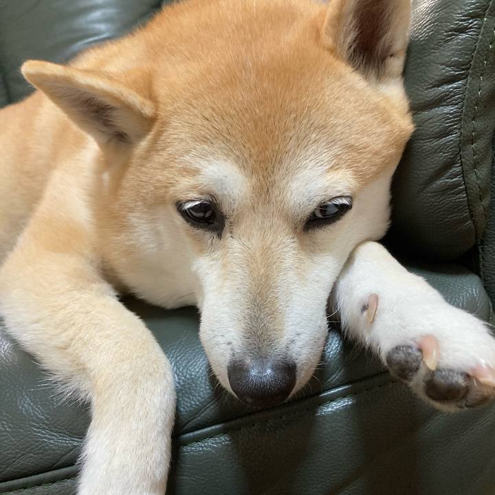 Fa0f0b81 8bec 45b5 b050 defb9482ac57 1617172976847