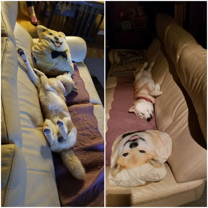 Fa0f1e03 d922 4a49 9ba0 6aed213dc2b6 1761059567362