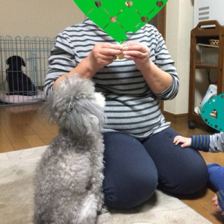 Fa0f4b77 83ae 4aa7 81eb e67b3007a043 1726101233370