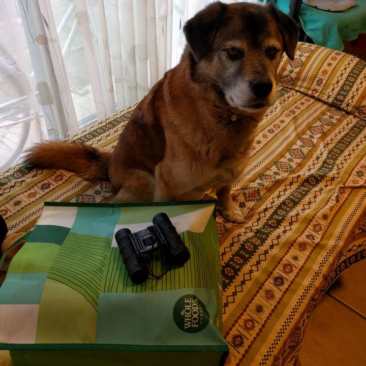 Fa0f6ef1 4c94 4125 8787 a8d81d77e189 1526461611689