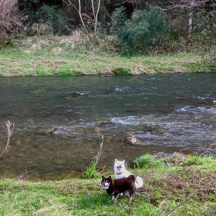 Fa0f8b8f b498 45ba a454 bbf9da2c9c9f 1679940152618