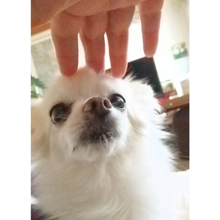 Fa0f8bf3 cebd 4ebc 8dd5 a2700b720827 1652983156134