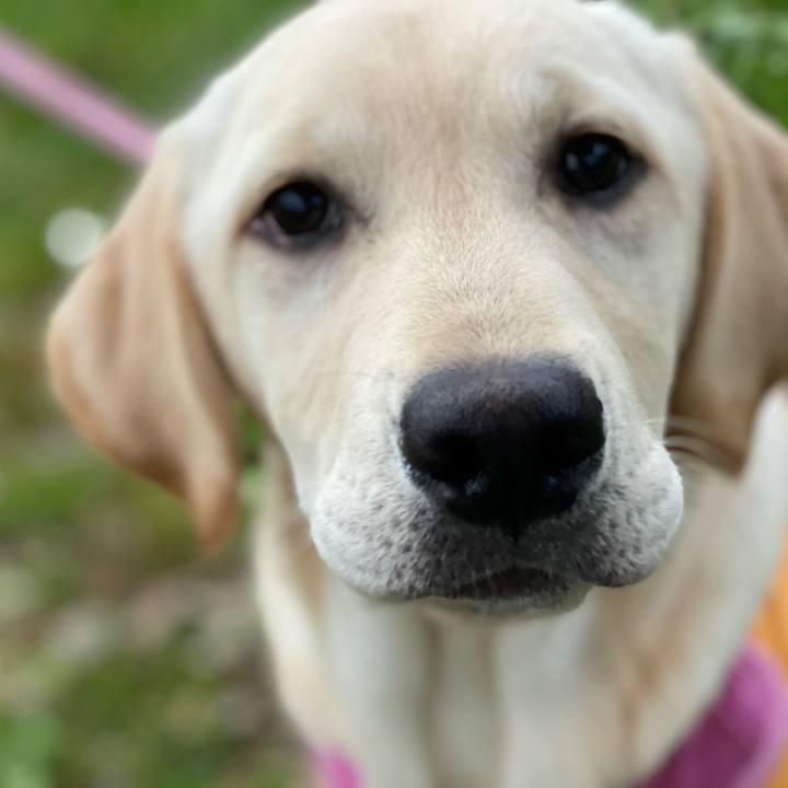 Fa0fd8ae 5670 4c3f 92ad d40d69b9a283 1616633061290