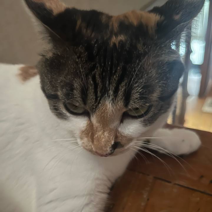 Fa10112a 6e7c 4731 babc 2db4828832d7 1758164531599