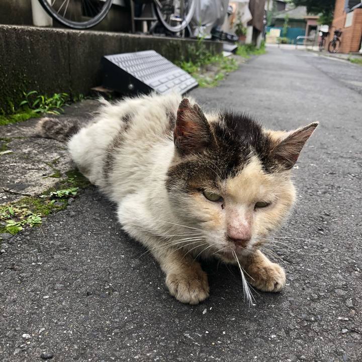 Fa10273b f1e5 4efd 8562 9bc4b481fa56 1599966360677