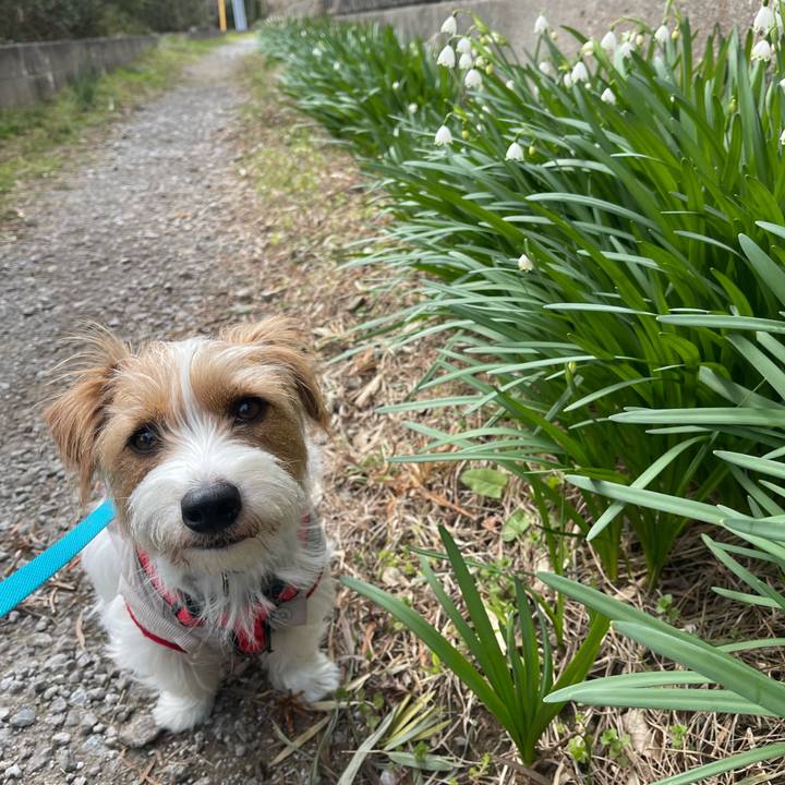 Fa103f3e eccf 43cd 9d85 c68ae5285eaf 1773227435243