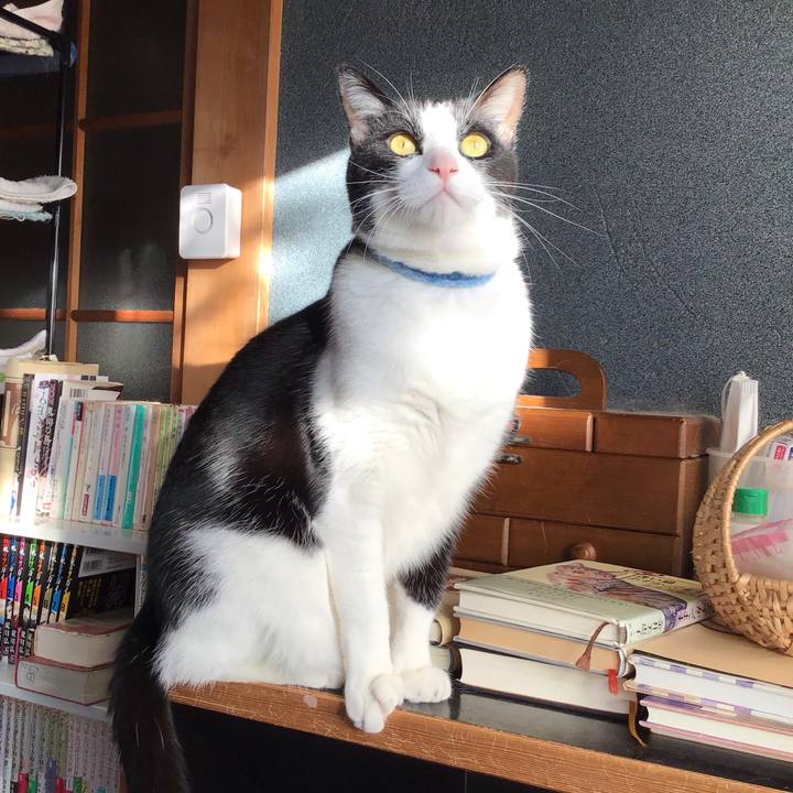 Fa105dcd 3886 4ffa 93d2 2b89b110c101 1732405243861