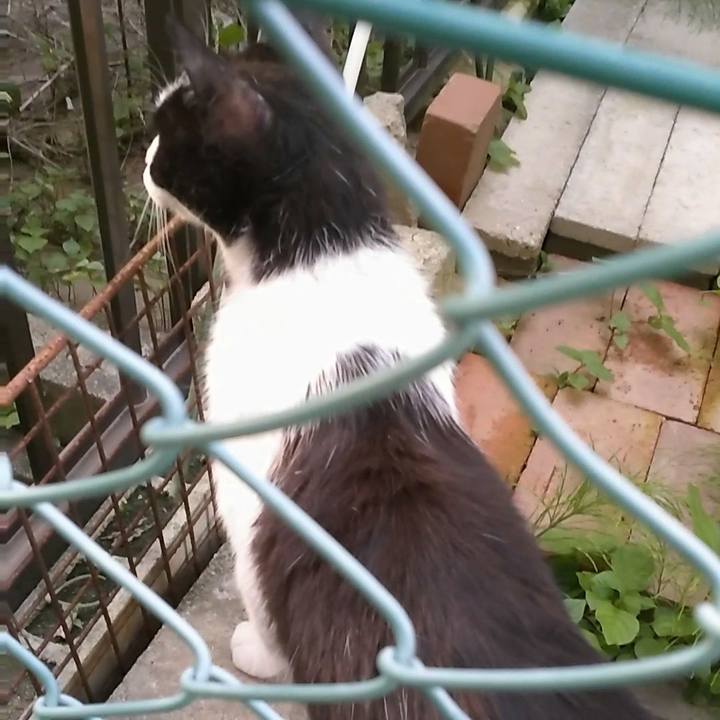 Fa1069d0 f67d 4333 bff0 5200c3ca1c0b 1527937304131