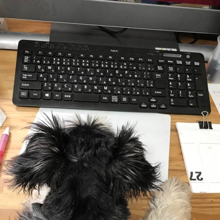 Fa106e82 a6f4 41af a494 22eaff964ee5 1560315917362