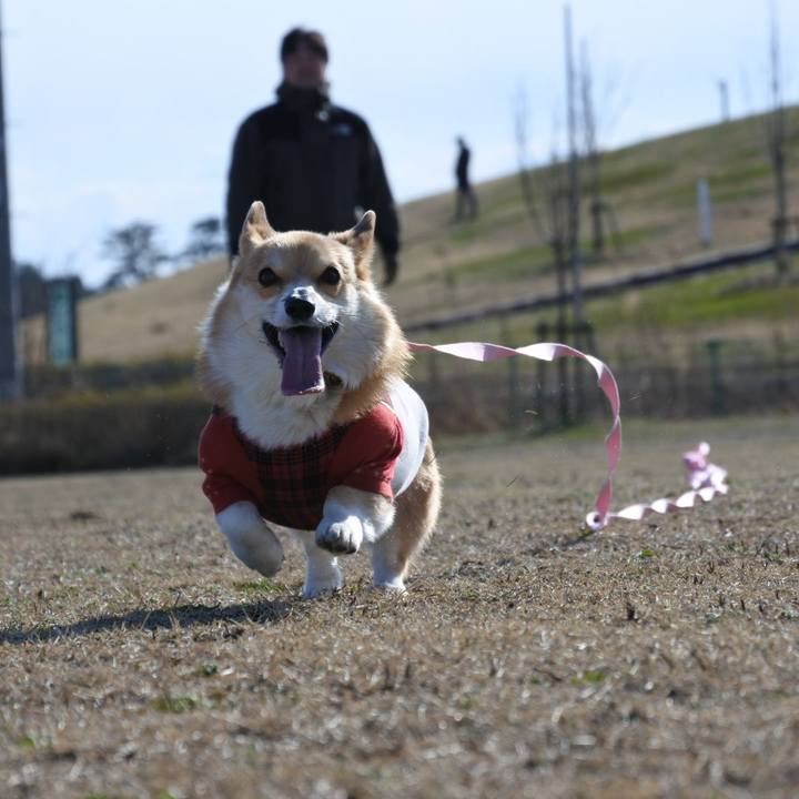 Fa1097c0 82c9 4f3b a727 7b39530392f4 1584282156937