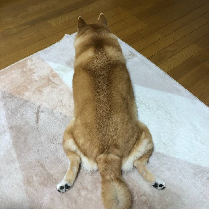 Fa10b1ce 5d2f 40c2 a0c7 a2457cc72701 1587210212975