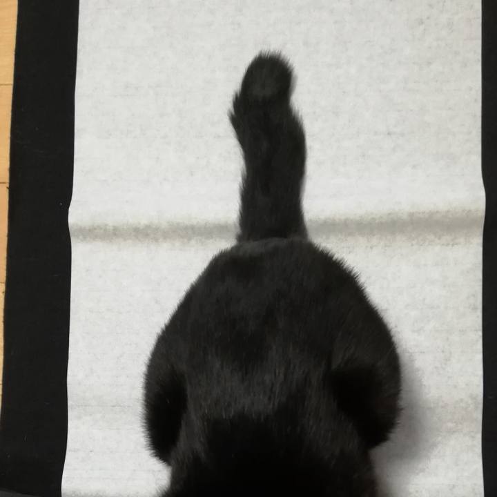 Fa10d8b4 bb25 4a7e 8e32 9943ab6376e8 1609472305188