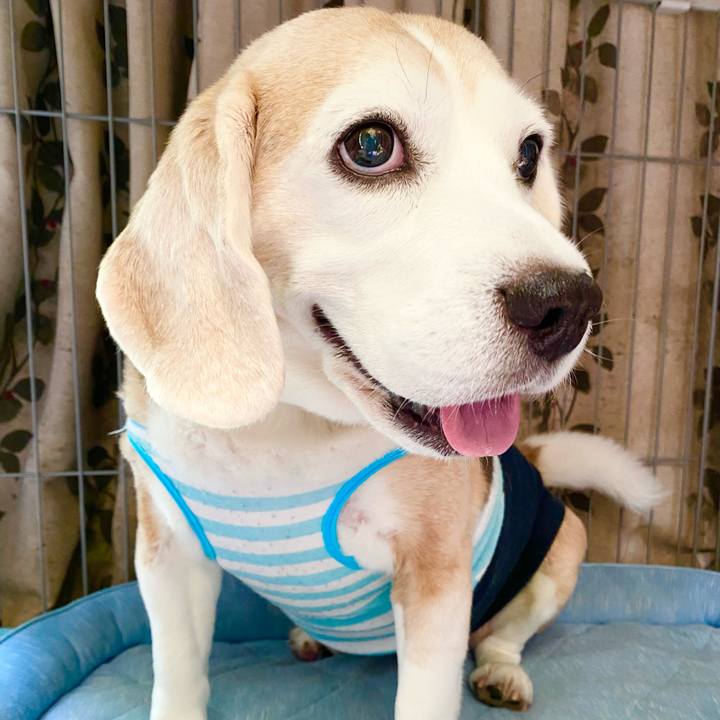 Fa10e7db 698b 4d62 a2bb e19bbe0e15a0 1654144411985