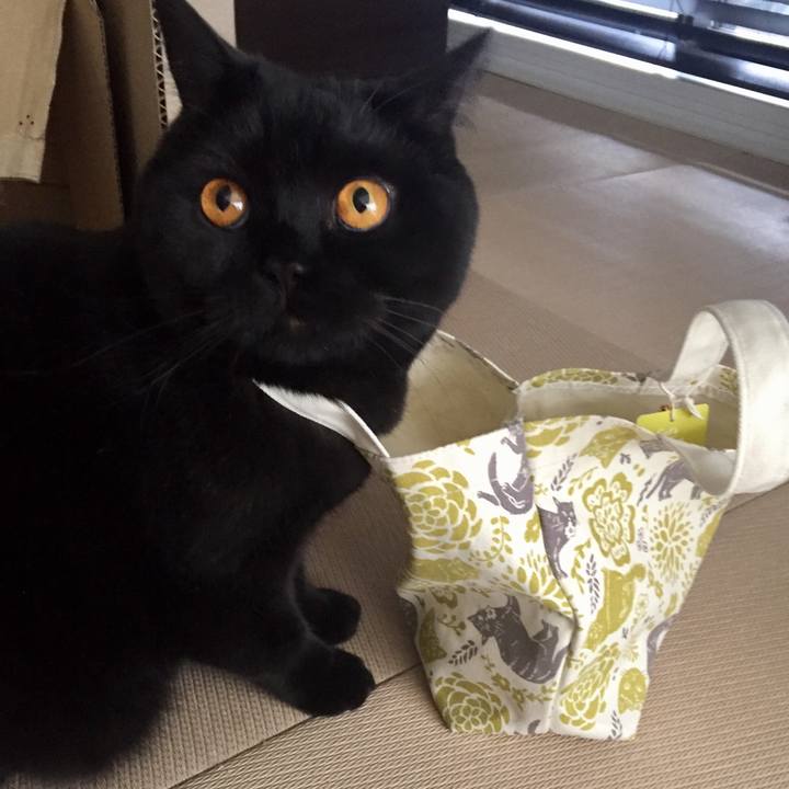 Fa110694 9a29 4220 af80 103c85f42036 1526079428019