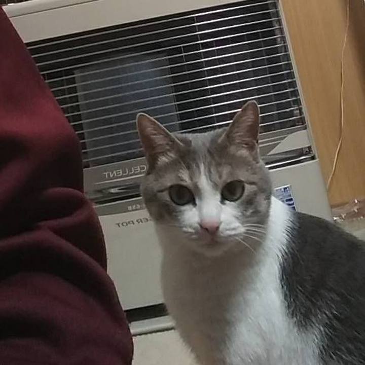 Fa111b37 6ad4 4989 8900 c6e832178a27 1551607655285