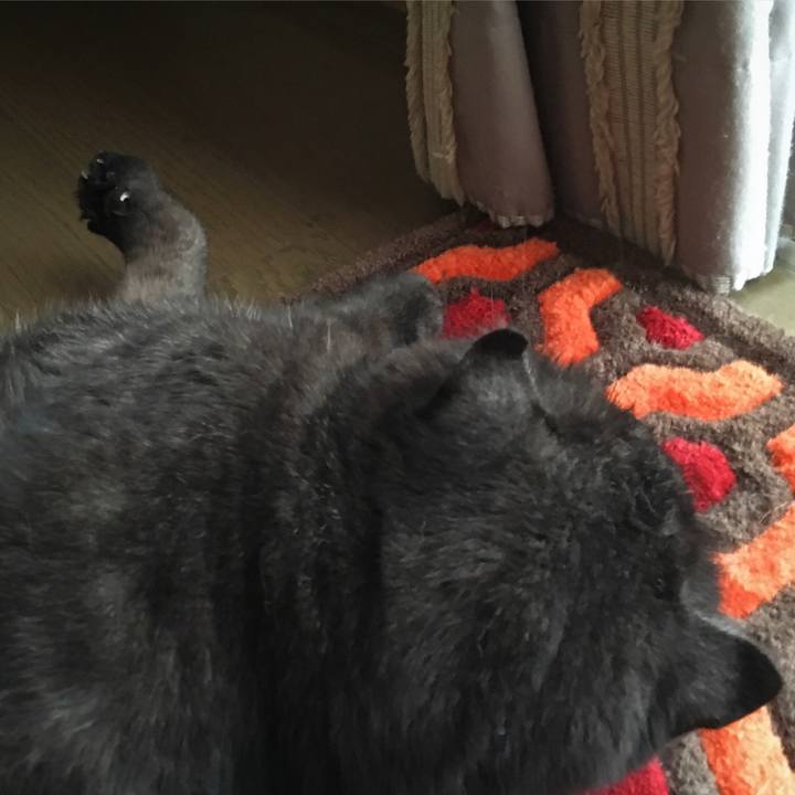 Fa114b15 756f 43f7 b76e 47a0d409bcfb 1564055555523