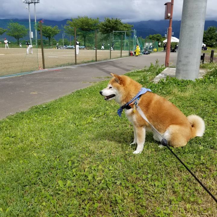 Fa1151e6 a4a1 4612 92e5 153929ff1eed 1560662816828