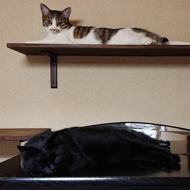 Fa1197a4 7b99 44f6 b630 a57c61f8a38c 1562024743746